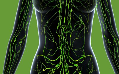 Lymphatic System